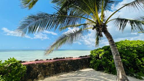 Palumboreef Beach Resort – Photos 5