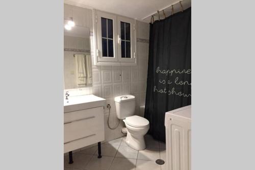 y baño con aseo, lavamanos y cortina de ducha. en Gerani Maison Agios Aimilianos beautiful view en Porto Heli