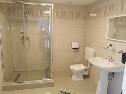 a bathroom with a shower and a toilet and a sink at Pensiunea Memy in Buşteni