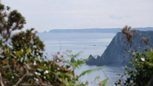 a view of a large body of water at HOTEL LA CASA DE LAS CAMELIAS in Busto