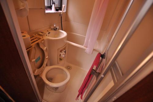 a small bathroom with a toilet and a sink at FUJIハイツ #国分寺 #東京&新宿&吉祥寺&高尾山 直行 #TOKYO Kokubunji 10min!! Easy to Shinjuku&SHIBUYA in Kokubunji