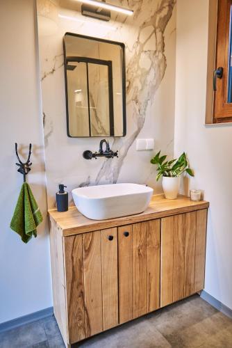 a bathroom with a white sink and a mirror at Widokówka in Pokrzydowo