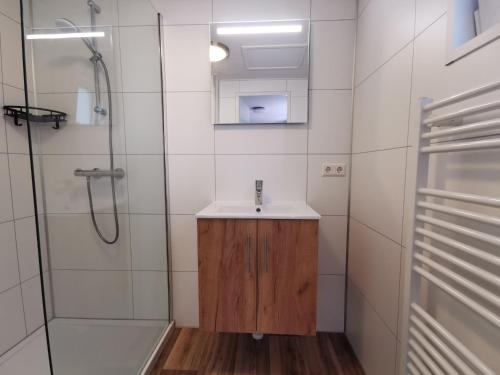 een badkamer met een wastafel en een douche bij BPW 1511 - Bospark t Wolfsven in Mierlo