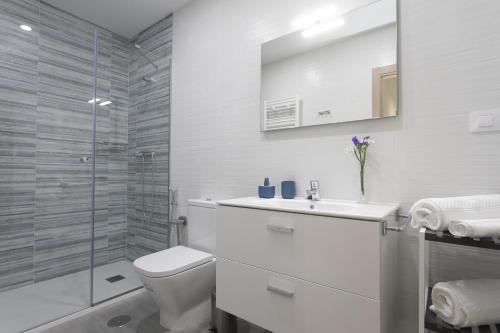 a bathroom with a toilet and a sink and a shower at Playa Ribeiría apartamento vacacional in Tapia de Casariego