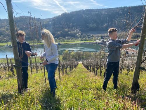 a group of three people standing in a vineyard at Landgasthof Zur Sonne in Enkirch