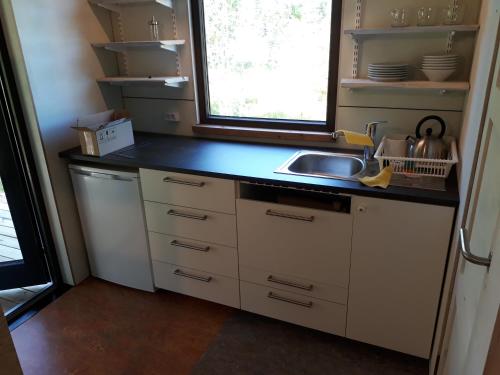a small kitchen with a sink and a window at Jūvgumegi in Mazirbe