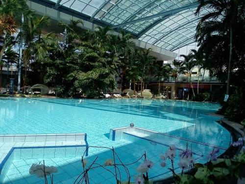 einem großen Pool in einem Gebäude mit Glasdecke in der Unterkunft Schwarzwald - Villa Appartments Titisee in Titisee-Neustadt