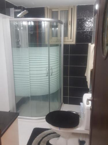 La salle de bains est pourvue de toilettes et d'une douche en verre. dans l'établissement Nablus luxury Residence, à Naplouse