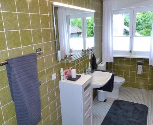 a bathroom with a sink and a toilet and windows at Haus Tannenweg in Zell an der Mosel