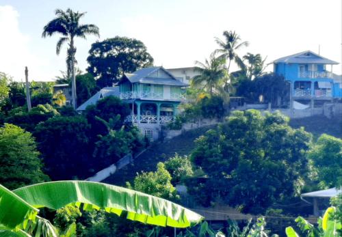 O grădină în afara onelovecottagetobago holiday home