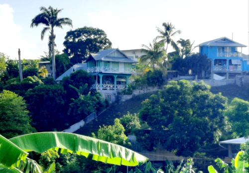 a house on top of a hill with trees at onelovecottagetobago upstairs apartment in Scarborough
