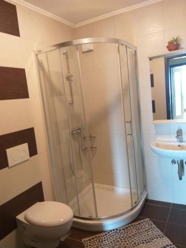 a bathroom with a shower with a toilet and a sink at Apartmaji Maki in Bled