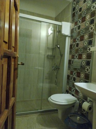 La salle de bains est pourvue d'une douche, de toilettes et d'un lavabo. dans l'établissement meltem pansiyon, à Kaş