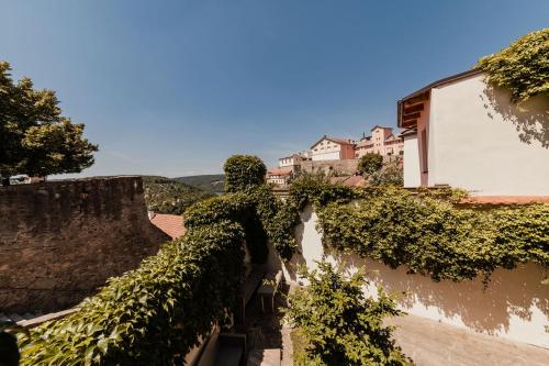 a person standing on a wall covered in ivy at Apartmány Staré Město in Znojmo
