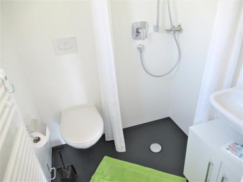 a small bathroom with a toilet and a shower at Tiny-Ferienhäusle Casa Wendy in Loßburg
