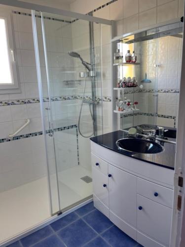 een badkamer met een douche en een wastafel bij Le chasse marée in Offranville