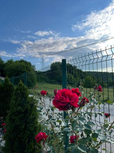 Imagen de la galería de Ranch Diamond Sarajevo, en Vogošća