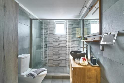 a bathroom with a shower and a toilet and a sink at Seaside House in Kissamos