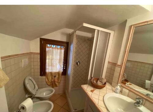 ein Bad mit einem WC, einem Waschbecken und einer Dusche in der Unterkunft Appartamento G&G in Carpignano Sesia