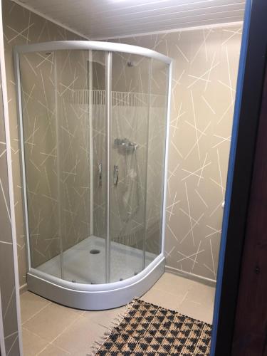 a shower with a glass door in a bathroom at Ostoja Będzyn- Wypoczynek nad Pilicą in Piotrków Trybunalski