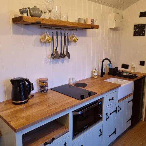 a kitchen with a wooden counter top with a sink at Tolverne Luxury Shepherd's Hut in Holsworthy