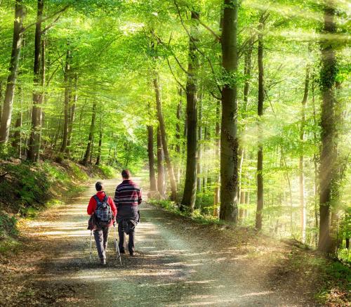 duas pessoas a andar por uma estrada de terra na floresta em Ferienwohnung am Hühnerberg em Buchbrunn