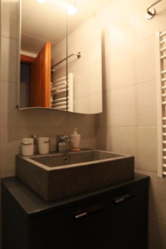a bathroom with a sink and a mirror at Prachalier II - Next to Nendaz cable car - Swiss Alps in Nendaz