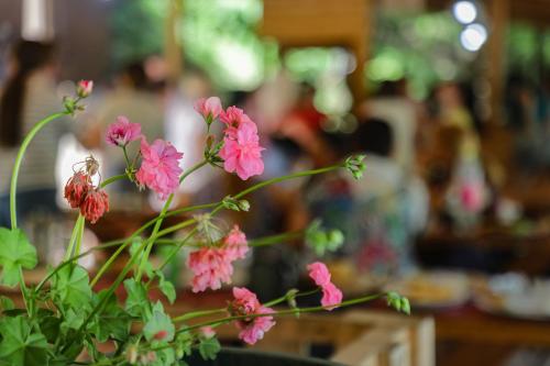Κήπος έξω από το Bee Eco Guest House