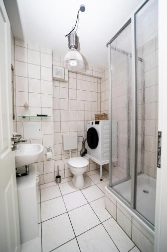 a bathroom with a toilet and a shower and a sink at Wismarer Heckflosse in Wismar
