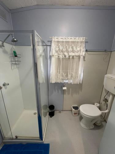 a bathroom with a shower and a toilet at Homely Cottage in Hawker