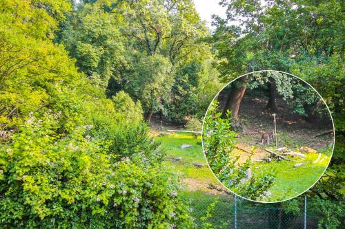 Giardino di Lake & Country Holidays