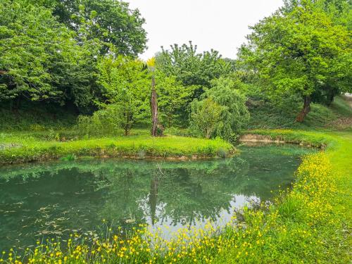 Paesaggio naturale nelle vicinanze dell'appartamento