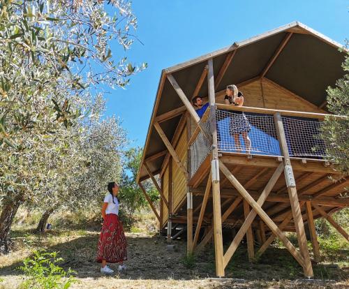 Glamping CirelliWines Abruzzo – Photos 5
