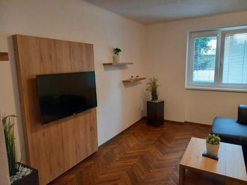 Una televisión o centro de entretenimiento en Apartmán Matěj