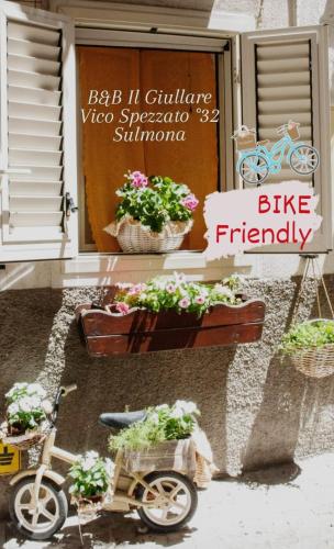 a bike parked in front of a building with potted plants at B&B Il Giullare in Sulmona