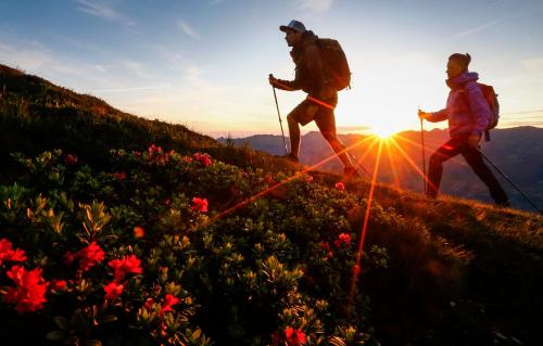 two people hiking on a hill with the sun in the background at BRUGGER ApartHotel in Mayrhofen