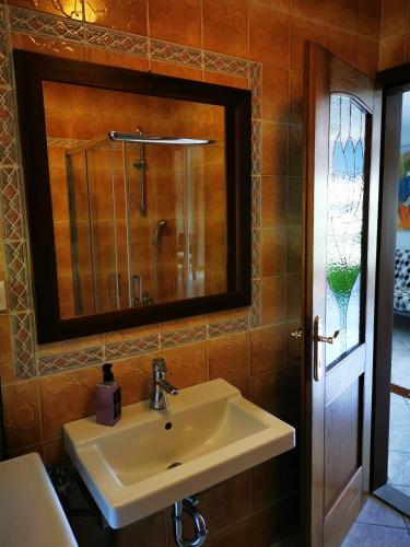 a bathroom with a sink and a mirror at Krasen Kras Apartment in Komen