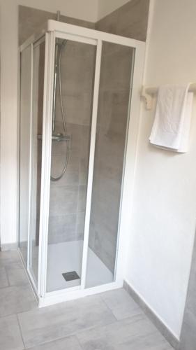 a shower with a glass door in a bathroom at Appartamento Le Rose in Ossuccio