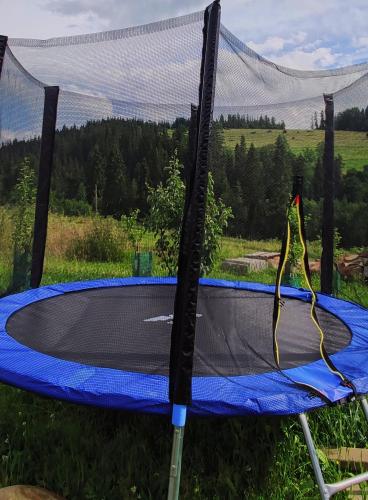 a trampoline in the grass with a net at VILLA JAGODOVO Biały Dunajec in Biały Dunajec