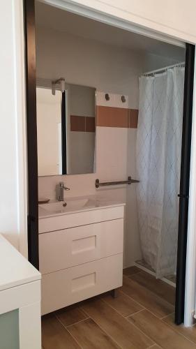 a bathroom with a sink and a shower at Appartement indépendant dans maison individuelle in Velleron