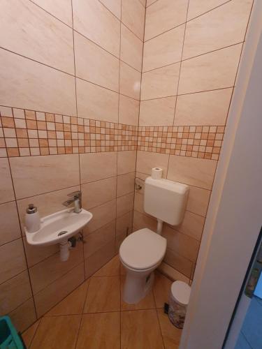 a small bathroom with a toilet and a sink at Fischer Apartman 3 in Hajdúszoboszló