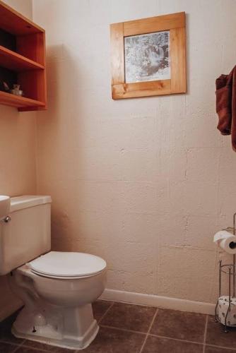 a bathroom with a toilet and a picture on the wall at Circle K Ranch in Rico