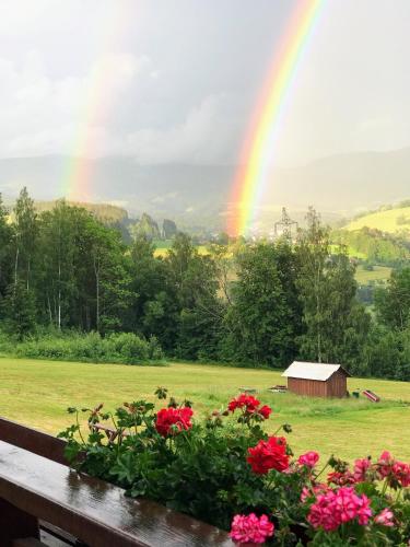 a rainbow over a field with flowers and a fence at Na Planýrce in Paseky nad Jizerou