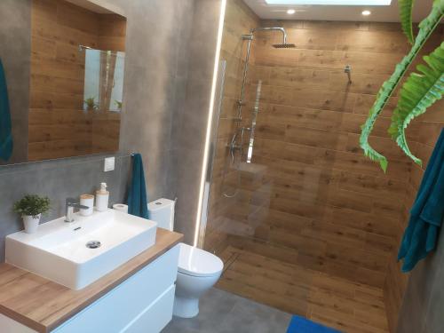 a bathroom with a sink and a toilet and a shower at Kaszubska Zagroda in Lipuska Huta