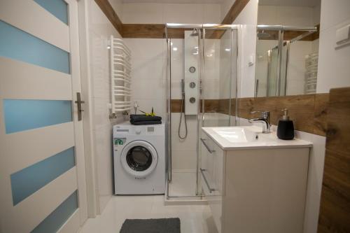 a bathroom with a washing machine and a sink at Apartament Laurowa in Tyczyn