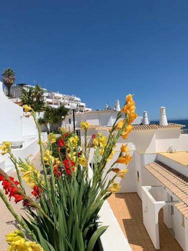 Albufeira, Sea Balcony (11)