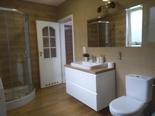 a bathroom with a toilet and a sink and a shower at Kaszubska Zagroda in Lipuska Huta