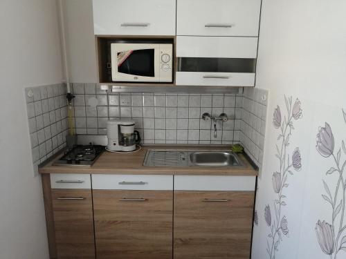 uma pequena cozinha com um lavatório e um micro-ondas em Anita Apartman em Bük