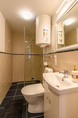 a bathroom with a toilet and a sink at Komodora nams in Liepāja