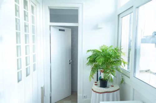 a hallway with a door and a potted plant at Guest House Amoreiras in Lisbon